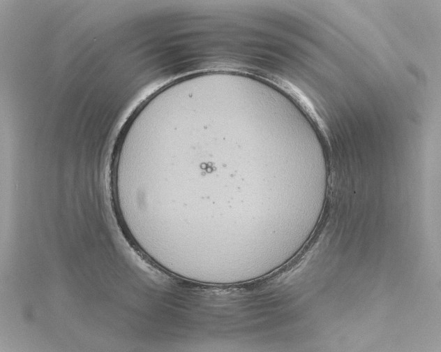 X0000115190947200911181445