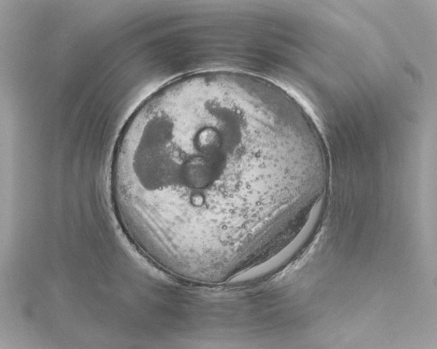 X0000115190949200911181445