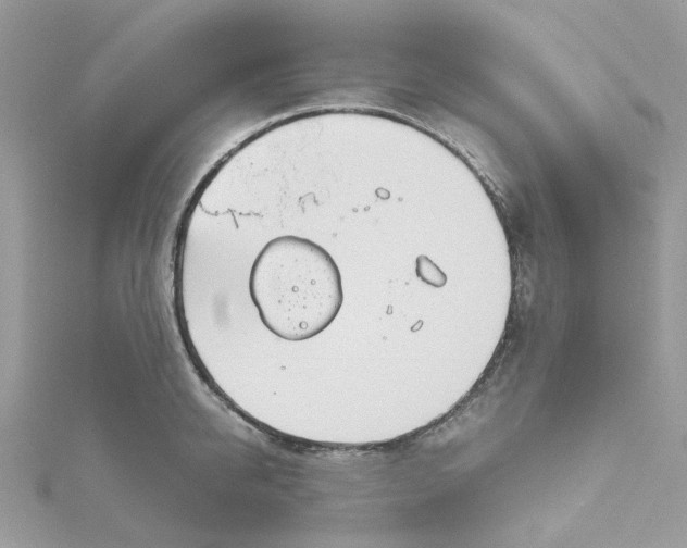 X0000115190950200911181445