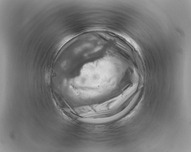 X0000115190953200911181445