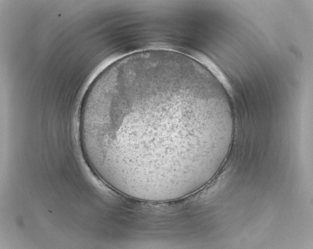 X0000115190955200911181445