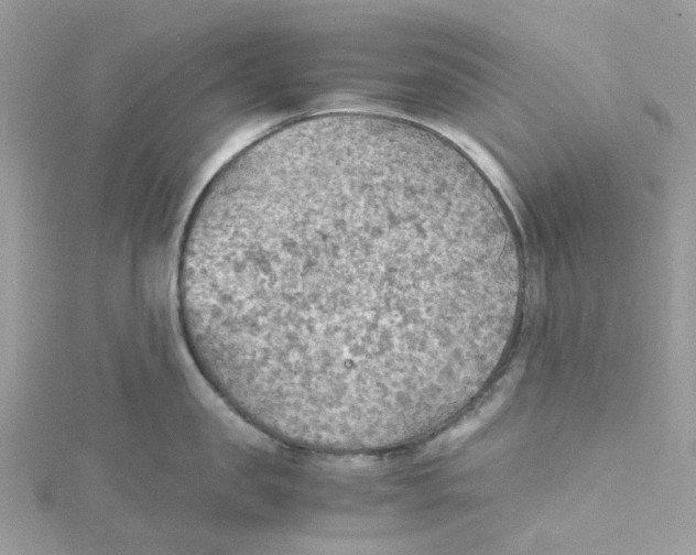 X0000115190957200911181445