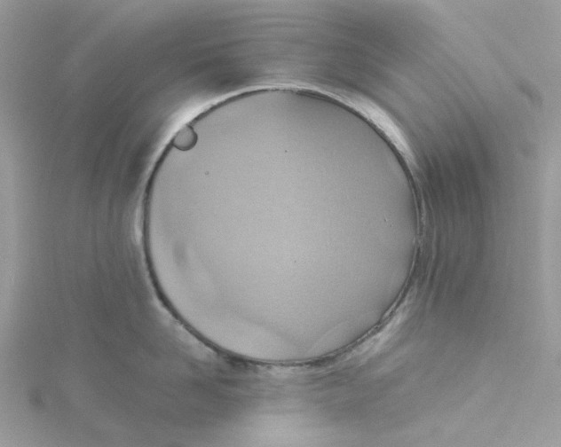 X0000115190958200911181445