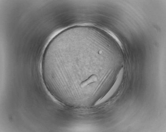 X0000115190959200911181445