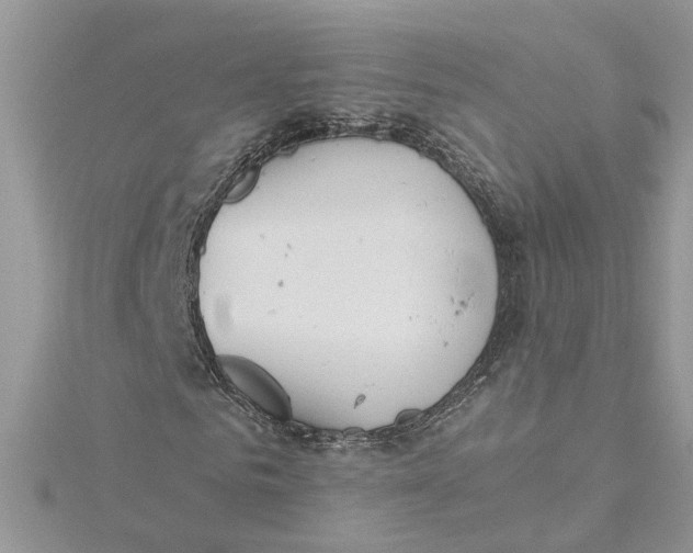 X0000115190961200911181445