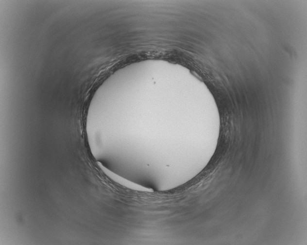 X0000115190962200911181445