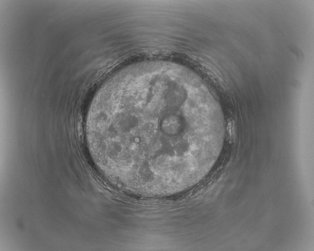 X0000115190963200911181445