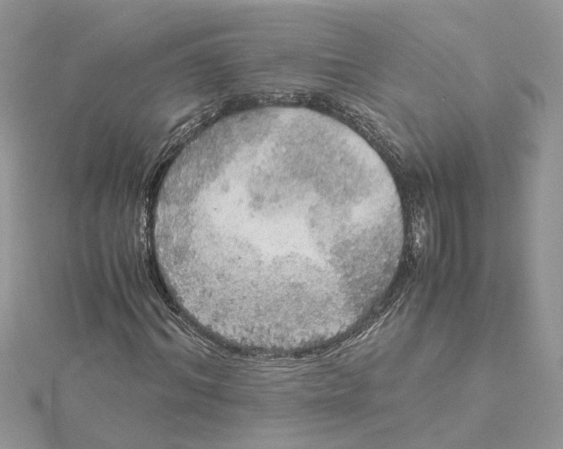 X0000115190964200911181445