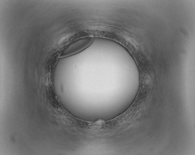 X0000115190965200911181445