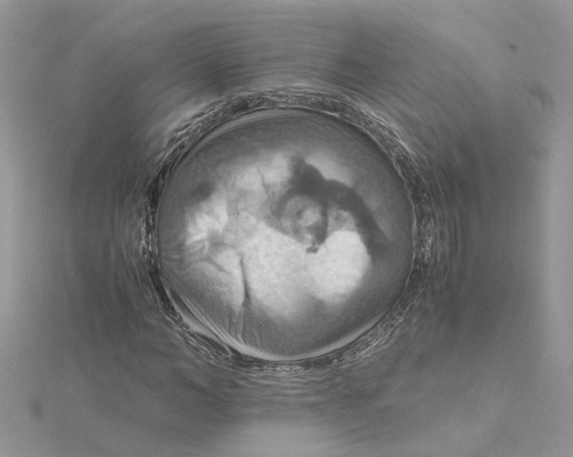 X0000115190966200911181445