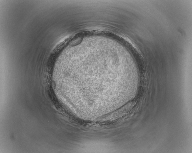 X0000115190967200911181445