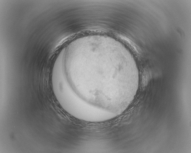 X0000115190968200911181445