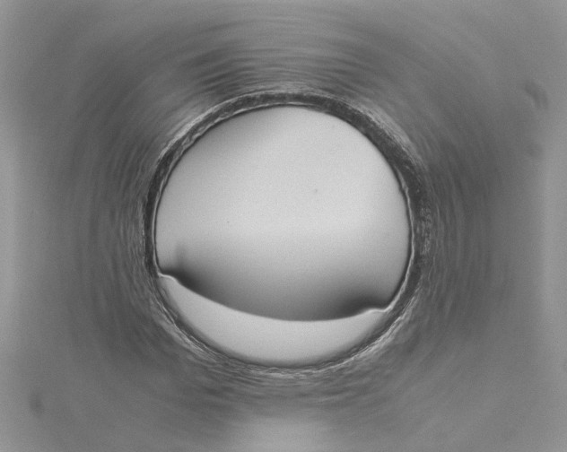 X0000115190969200911181445