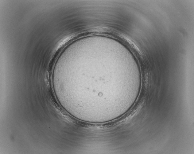 X0000115190970200911181445