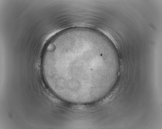 X0000115190971200911181445