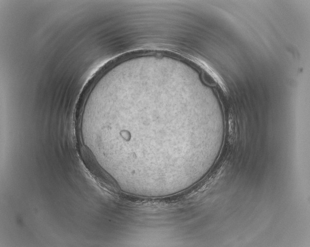 X0000115190972200911181445