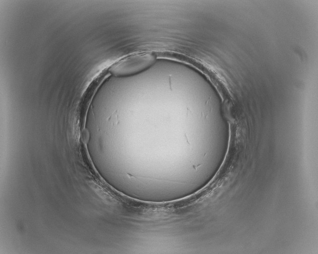 X0000115190973200911181445