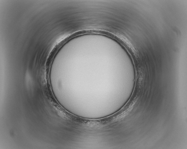 X0000115190974200911181445