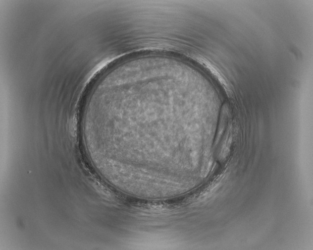 X0000115190975200911181445