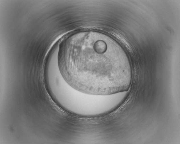 X0000115190976200911181445