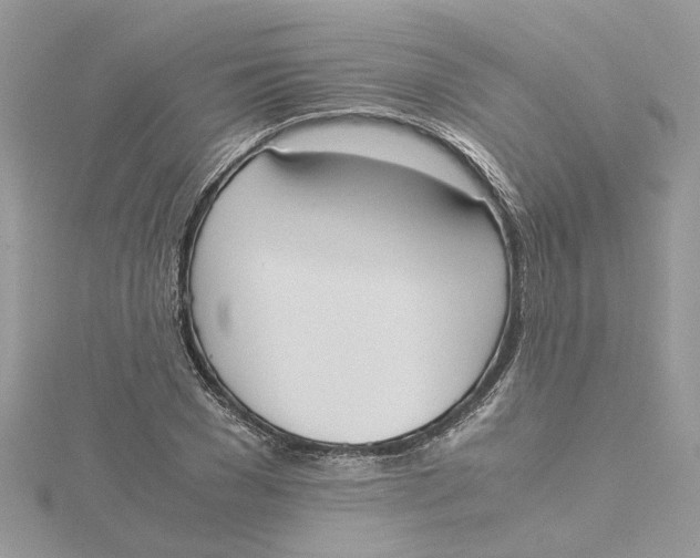 X0000115190977200911181444