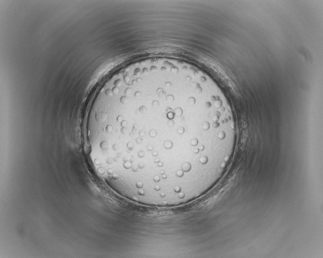 X0000115190978200911181444