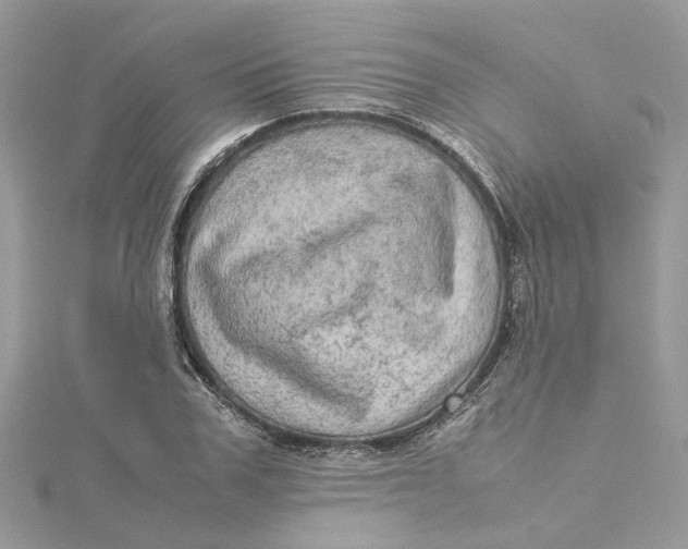 X0000115190979200911181444