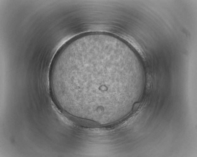 X0000115190980200911181444