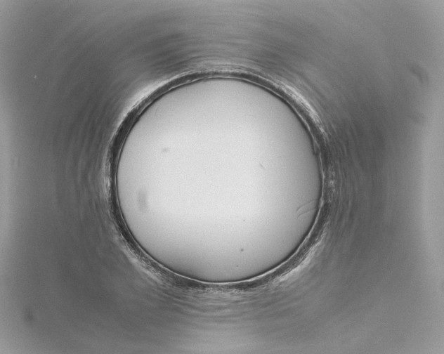 X0000115190981200911181444