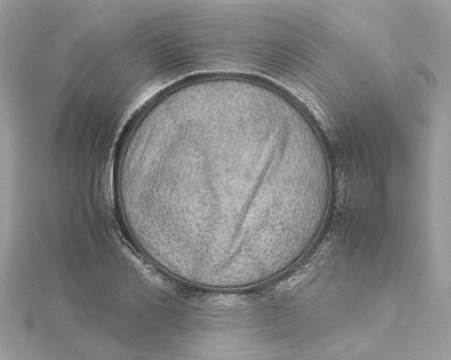 X0000115190982200911181444