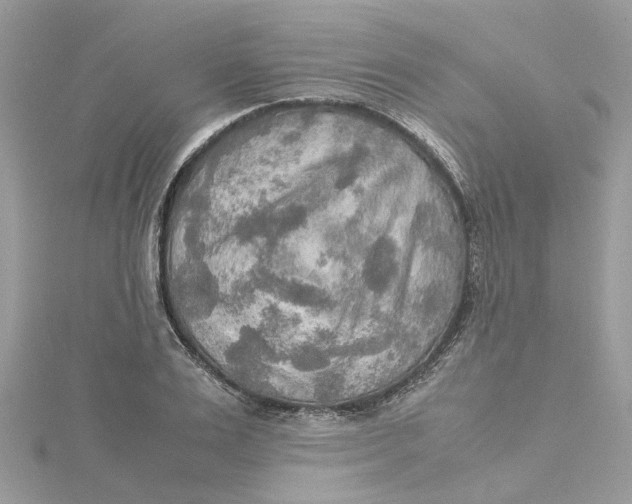 X0000115190983200911181444