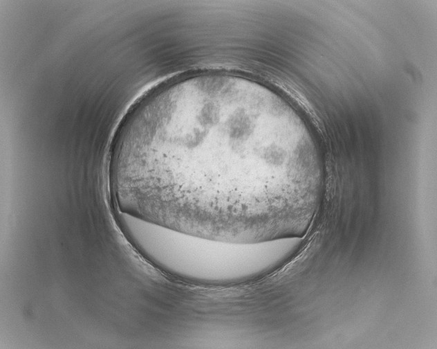 X0000115190984200911181444