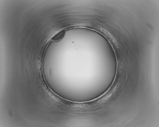 X0000115190985200911181444