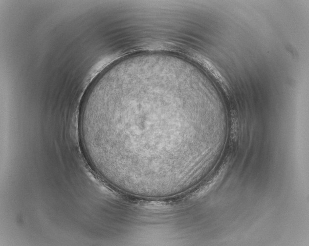 X0000115190986200911181444