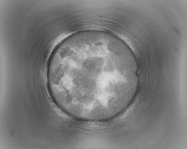 X0000115190987200911181444