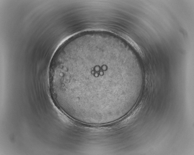 X0000115190988200911181444