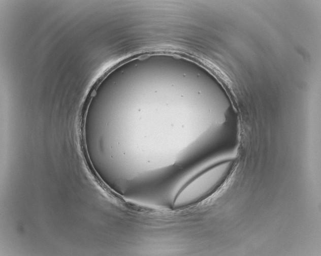 X0000115190989200911181444