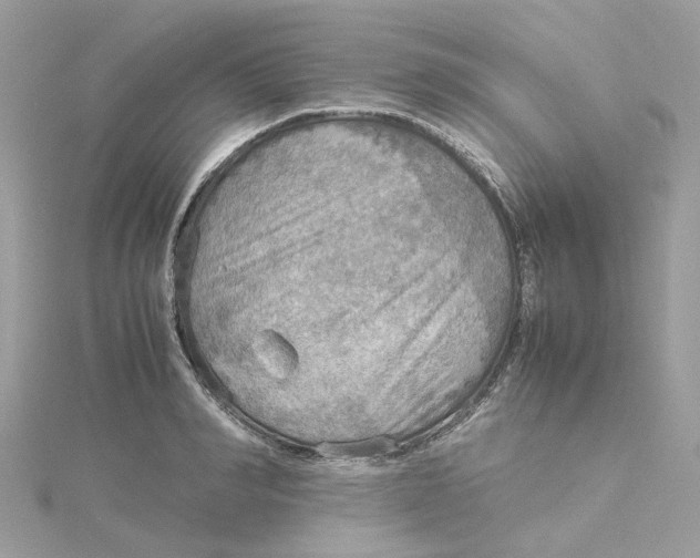 X0000115190990200911181444