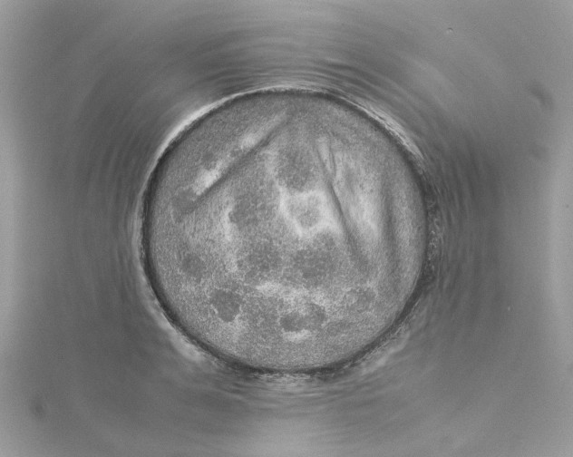 X0000115190991200911181444