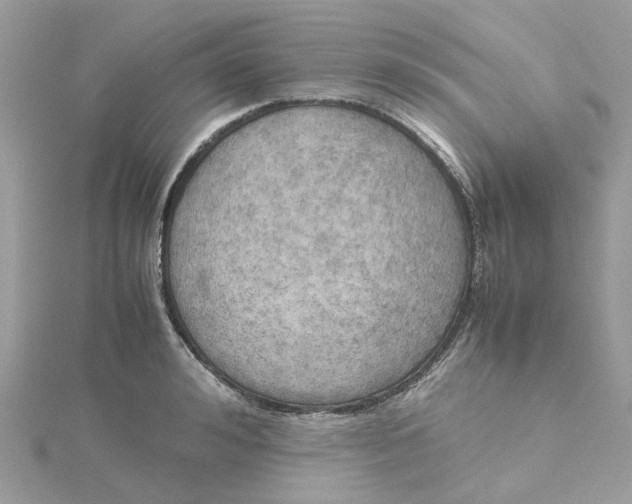 X0000115190992200911181444