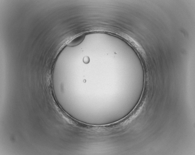 X0000115190993200911181444