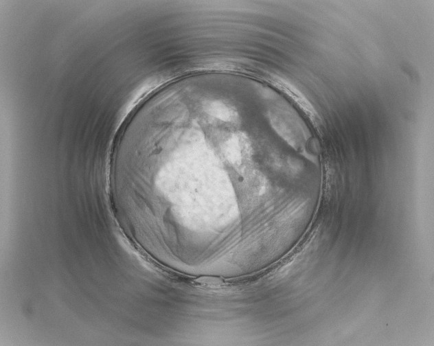 X0000115190994200911181444