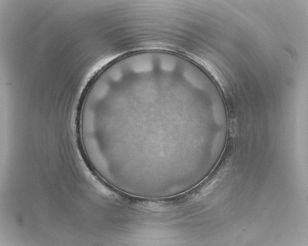 X0000115190995200911181444