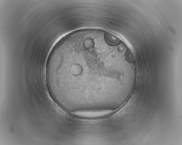 X0000115190996200911181444