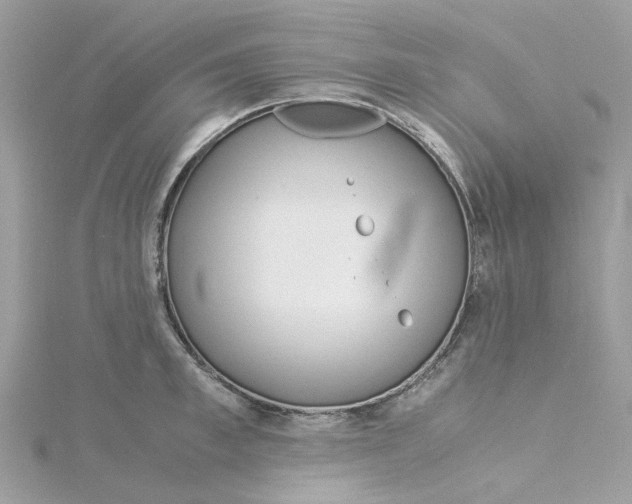 X0000115190997200911181444