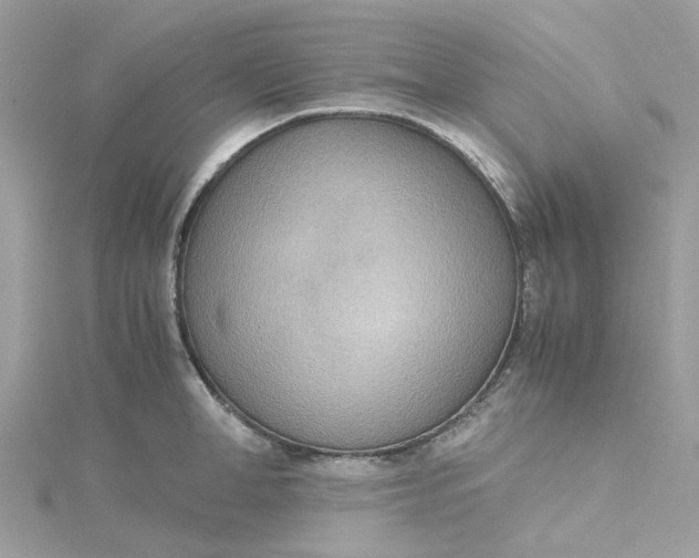 X0000115190998200911181444