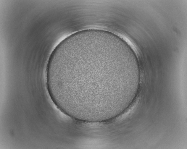 X0000115190999200911181444