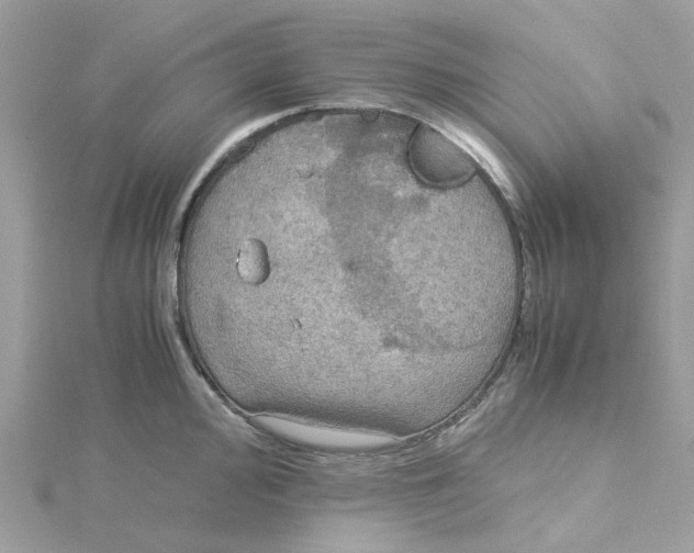 X0000115191000200911181444