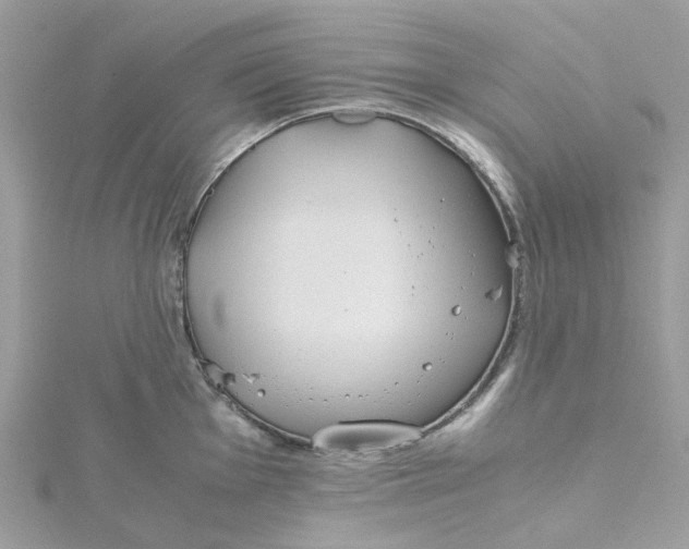 X0000115191001200911181444