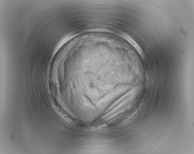 X0000115191002200911181444